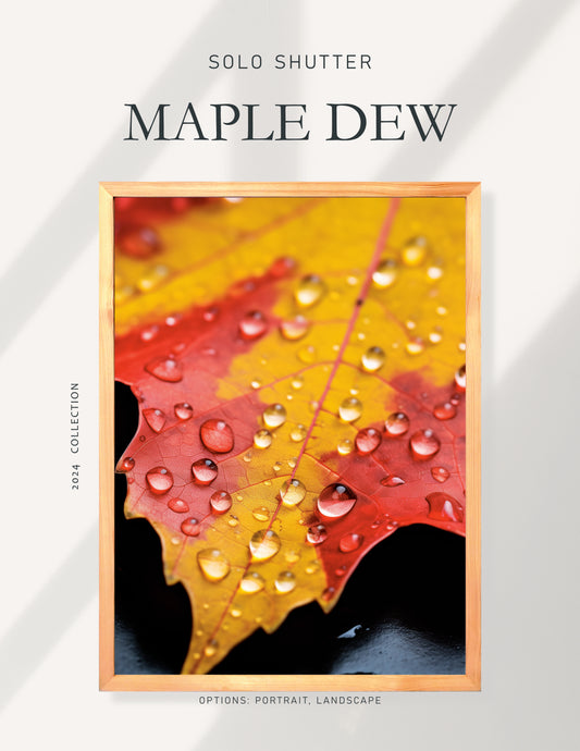 Maple Dew by Solo Shutter