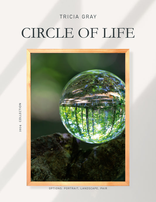 Circle of Life by Tricia Gray